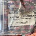 Selling: Asteroid Cookies by Tikimadman