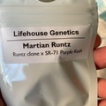 Venta: Martian Runtz by Lifehouse Genetics
