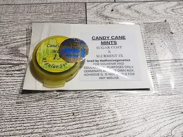 Selling: Candy cane mints