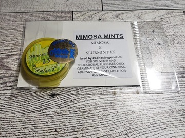 Selling: Mimosa mints