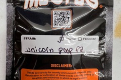 Vente: Thug pug - unicorn poop f2