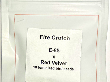 Providing ($): Fire Crotch by Lit FARMS - E-85 X Red Velvet