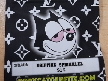 Vente: Dripping Sprinkles S1 Copycat Genetics Original