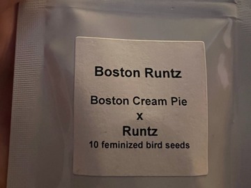 Providing ($): Lit Farms - Boston Runtz