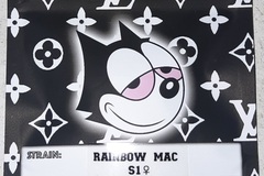 Venta: Rainbow Mac S1  Copycat Genetix Original FEMS