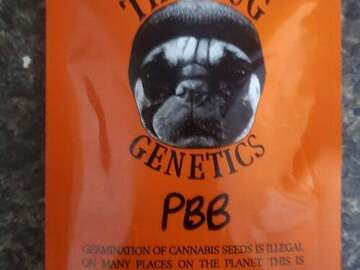 Proposer ($): Thug Pug Peanut Butter Breath (MALE-POLLEN) LOW STOCK!