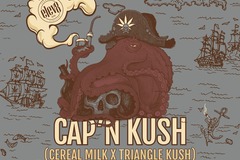 Providing ($): Cap'n Kush [Feminized]