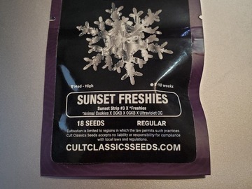 Sell: Cult Classic Seeds - Sunset Freshies (OGKB Cookies) FIRE!