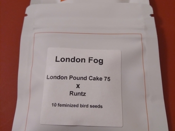 Proporcionando ($): LIT FARMS - LONDON FOG