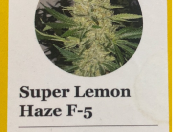 Providing ($): Ethos Super Lemon Haze Regs F-6