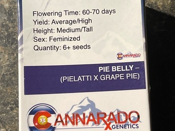 Selling: Cannarado-Pie Belly