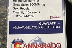 Selling: Cannarado-Guavlatti