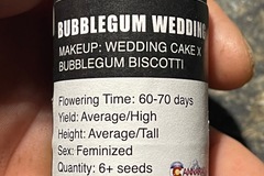 Selling: Cannarado-Bubblegum Wedding