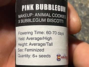 Vente: Cannarado-Pink Bubblegum