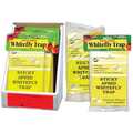 Selling: Sticky Whitefly Traps -- 3 Pack