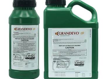 Vente: Marrone Bio Innovations Grandevo CG Bioinsecticide - OMRI Listed