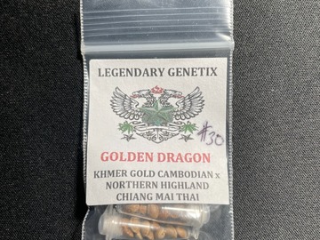 Proposer ($): Golden Dragon - SnowHigh Seeds (30 Regular Seeds)