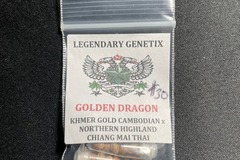 Providing ($): Golden Dragon - SnowHigh Seeds (30 Regular Seeds)