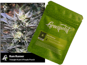 Proposer ($): Greenpoint Seeds - Rum Runner (6 pack)