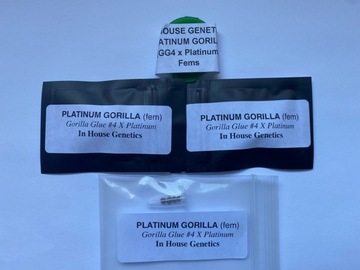 Providing ($): Platinum Gorilla (full pack) - In-House Genetics