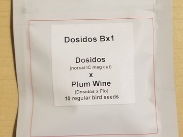 Providing ($): Dosidos Bx1 - Dosidos x Plum Wine - LIT Farms