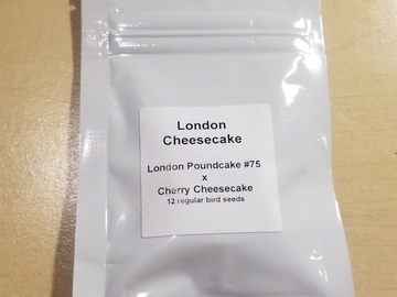 Providing ($): London Cheesecake  (LPC #75 x Cherry Cheesecake) LIT Farms