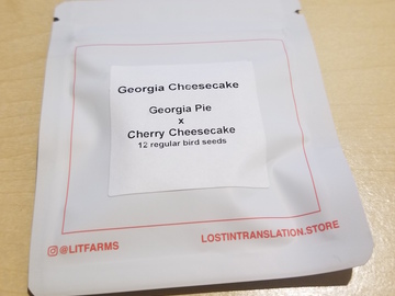 Providing ($): Georgia Cheesecake - Georgia Pie x Cherry Cheesecake - LIT Farms