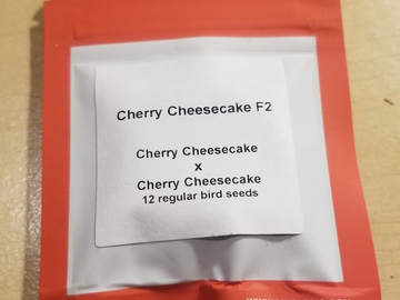 Providing ($): Cherry Cheesecake F2 - LIT Farms
