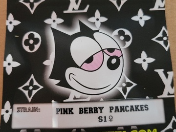 Vente: Pink Berry Pancakes S1  Copycat Genetics Fems
