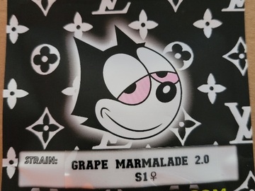 Sell: Grape Marmalade 2.0 S1 Copycat Genetics Fems