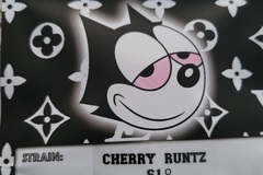 Sell: Cherry   Runtz S1  Copycat Genetics Fems