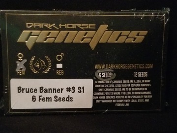 Providing ($): Bruce Banner #3 S1 - Dark Horse Genetics