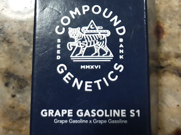 Providing ($): Compound - Grape Gasoline S1 RARE
