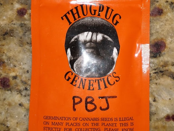 Providing ($): Thug Pug - Peanut Butter Jelly RARE