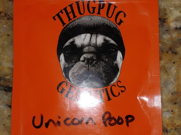 Providing ($): Thug Pug - Unicorn Poop RARE