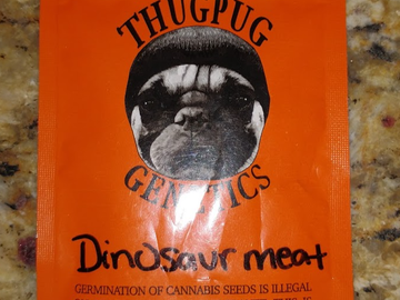 Providing ($): Thug Pug - Dinosaur Meat RARE