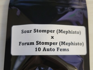 Proposer ($): Sour Stomper x Forum Stomper - Mephisto Genetics, 10 Fem Seeds