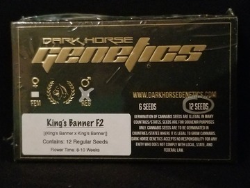 Providing ($): King's Banner F2 - Dark Horse Genetics