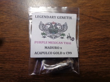 Providing ($): Legendary Genetix/SnowHigh- Purple Mexican Thai 10pk
