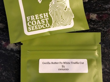 Providing ($): Fresh Coast Seed Co - Gorilla Butter F2 White Truffle S1