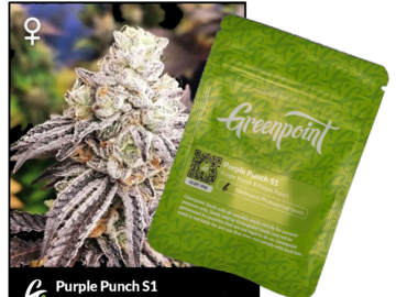 Providing ($): Greenpoint Seeds - Purple Punch S1