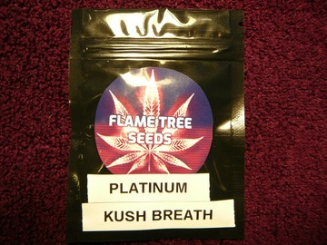 Providing ($): Platinum Kush Breath- fem seed