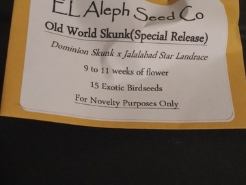 Providing ($): El Aleph- Old World Skunk