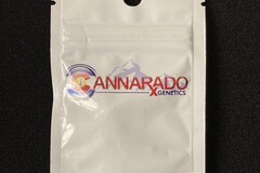 Providing ($): Cannarado Genetics - The Wrinkle