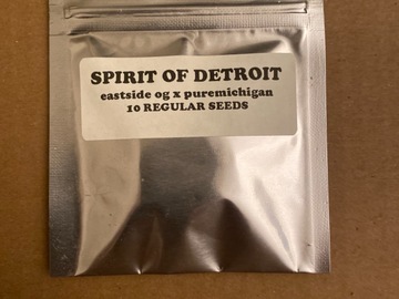 Providing ($): Spirit of Detroit
