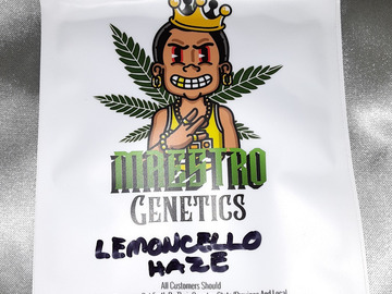 Providing ($): 5 Pack - Lemonchello Haze (Reg) + Freebie!