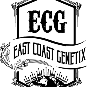 East Coast Genetics 