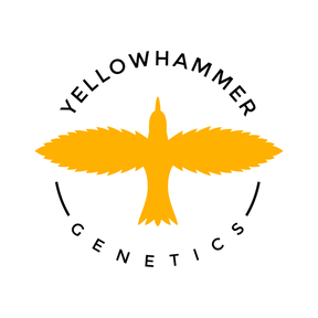 Yellowhammer Genetics