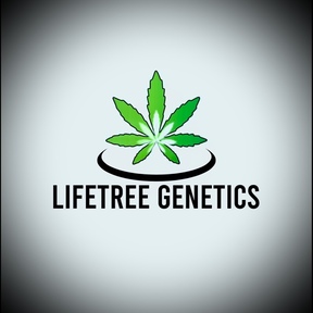 LifeTree Genetics
