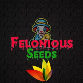 Felonious Seeds